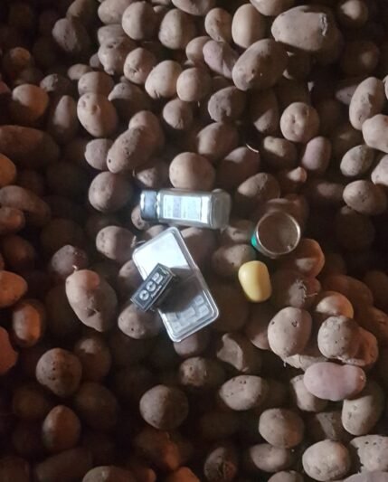 Narkotikus maskavo prieskoniais