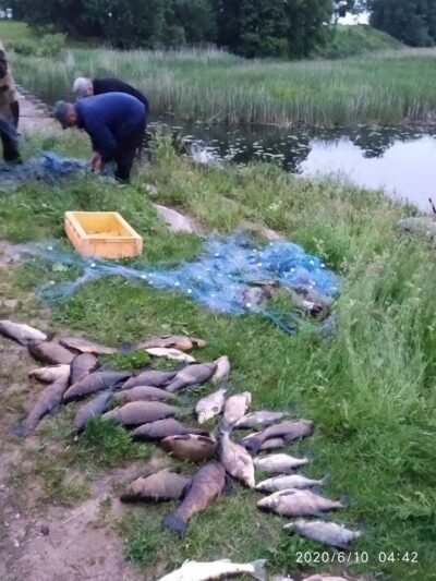 Nesėkminga brakonierių naktis: tūkstantinės baudos ir prarastas automobilis (7)