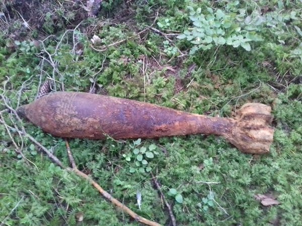 Netoli sodų – minos sprogimas (nuotraukos)