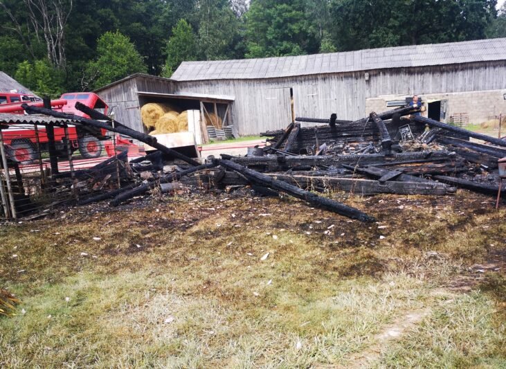 Nukentėjusieji nesutinka su ugniagesių pasakojimu (2)