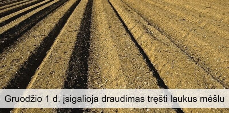 Nuo gruodžio 1 d. draudžiama tręšti mėšlu