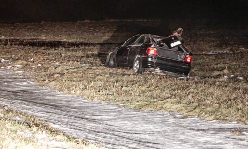 Nuo kelio nulėkė beteisio vairuotas BMW (14)