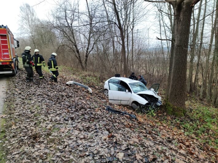 Nuo kelio nuskriejęs automobilis rėžėsi į medį (nuotraukos)