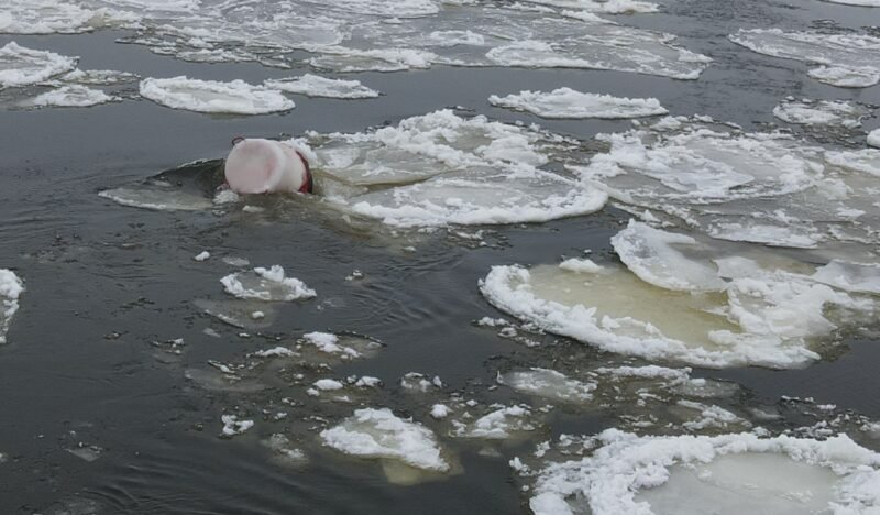 Nustebino ledų daužomi ženklai (video) (1)