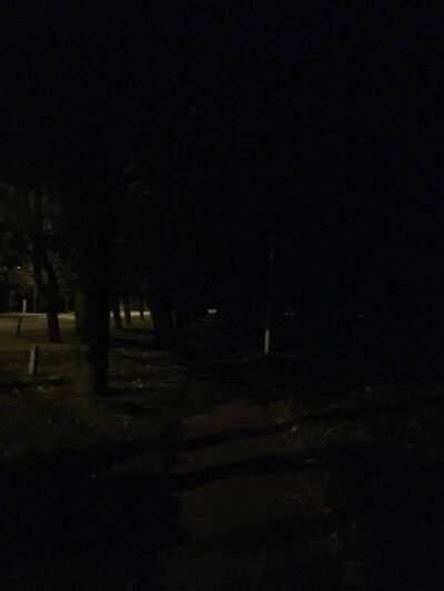 Nuvylė tamsus parkas (balsavimas) (4)