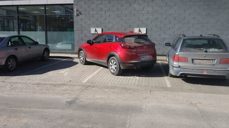 Papiktino gimnazisto akiplėšiškumas (nuotraukos) (11)