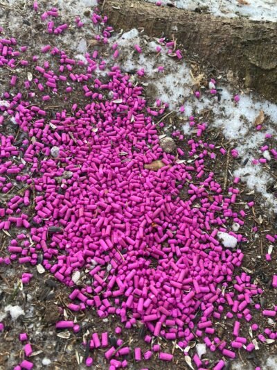 Parke – neaiškus radinys, įtaria, kad žiurknuodžiai