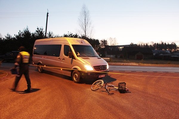 Partrenkė dviratininkę (nuotraukos) (10)