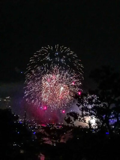 Pasaulis pasitinka 2019-uosius (nuotraukos, video)