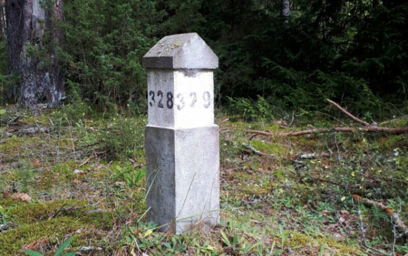 Patarimai, kaip orientuotis miške neturint išmaniojo įrenginio