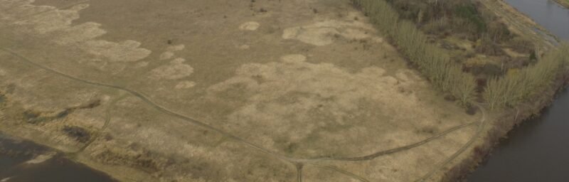 Penki svarbiausi patarimai žemdirbiui artėjant pavasariui