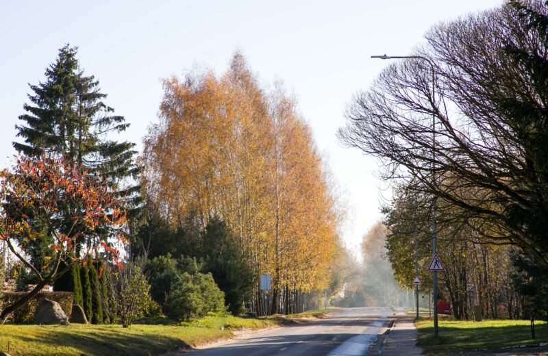 Penktadienio pavakarę eismo sąlygos yra geros, naktį jas gali sunkinti plikledis