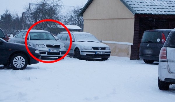 Į pirtį – tarnybiniu automobiliu (25)