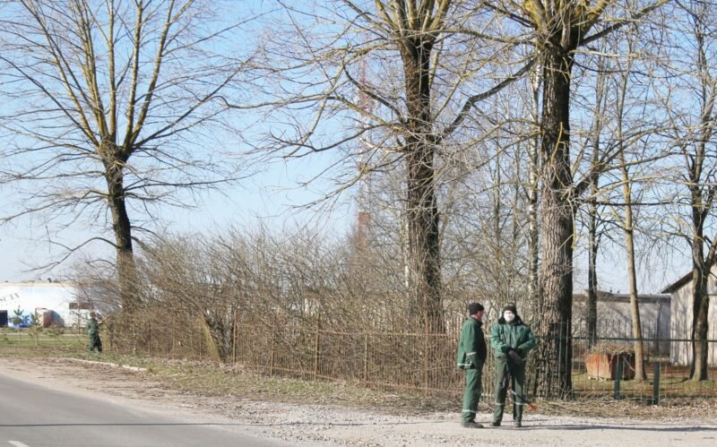 Pjūklą akiplėšiškai pavogė iš panosės (7)