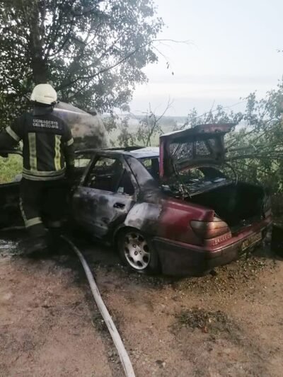 Po smūgio į medį automobilis užsiliepsnojo, ekipažas dėjo į kojas (nuotraukos)