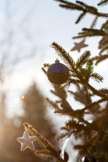 Prašo nemėtyti kalėdinių eglučių – jas surinks