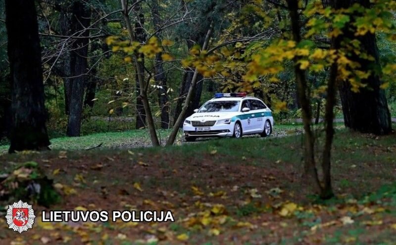 Prie vairo – girtas pasienietis