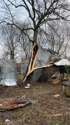 Prieglauda prašo pagalbos – vaizdai, kaip po apokalipsės (video)