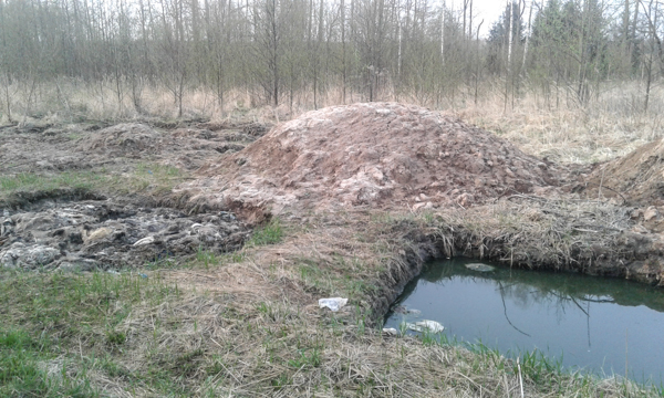 Radinys miške ant kojų sukėlė veterinarijos tarnybą (nuotraukos, video) (5)