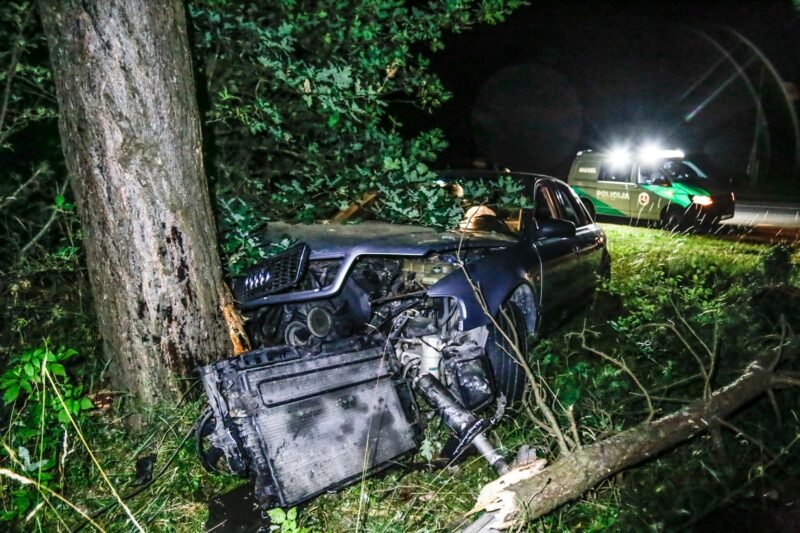 Rėžėsi į medžius, o paskui spruko į mišką (nuotraukos, papildyta) (4)