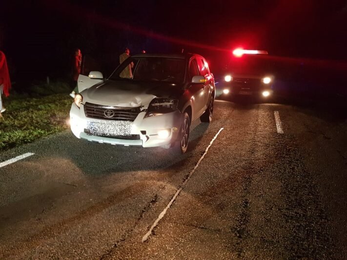 Rudenį – susidūrimai su laukiniais žvėrimis (nuotraukos)