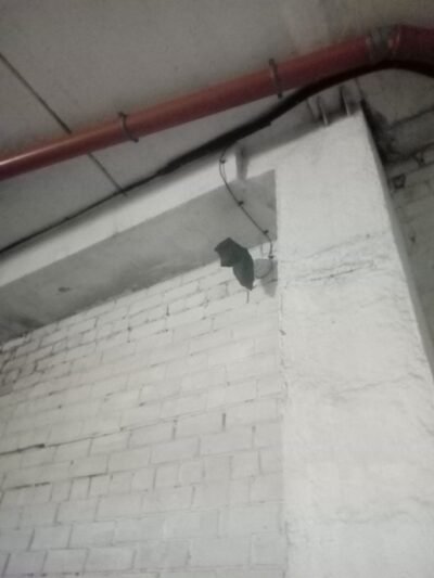 Saugos kameras uždengė skudurais (22)