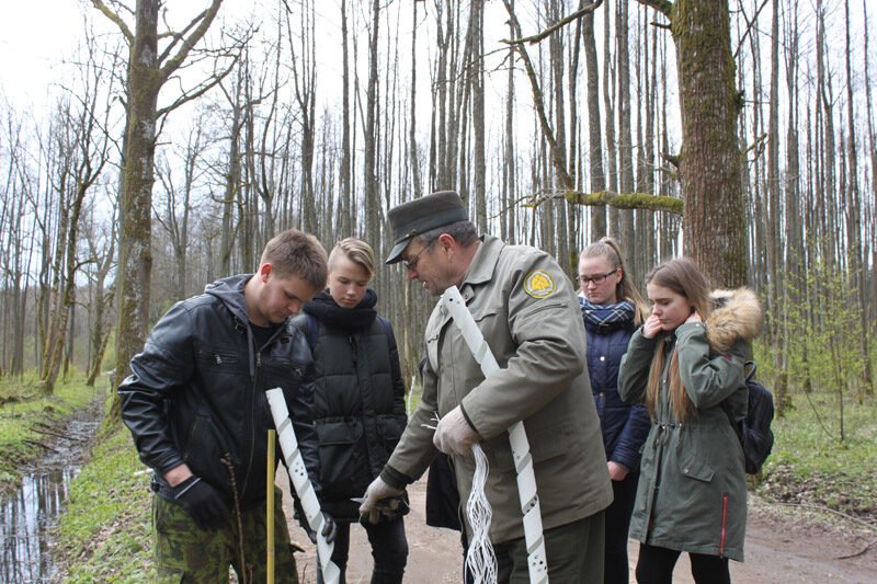 Senkelį apsodino ąžuolais