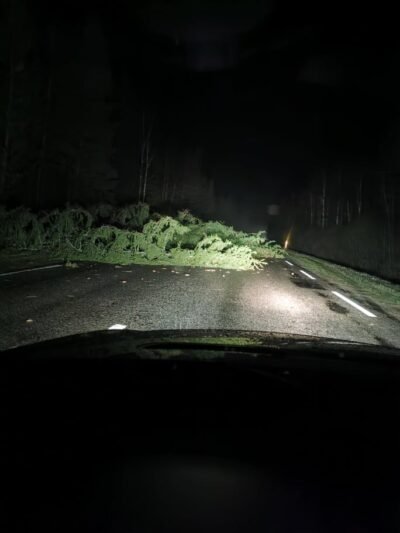 Skaitytojai informuoja: kelią užvirto medis