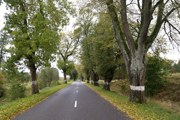 Smalininkų patirtis: patikimiau ir gražiau