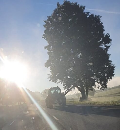 Stulpelius šienavusi įmonė patuštins savo kišenę (3)