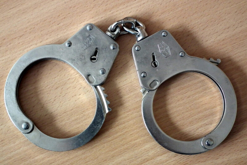 Sulaikyta įtariamoji dėl 8 tūkstančių eurų vagystės, policija dėkoja už pagalbą (14)