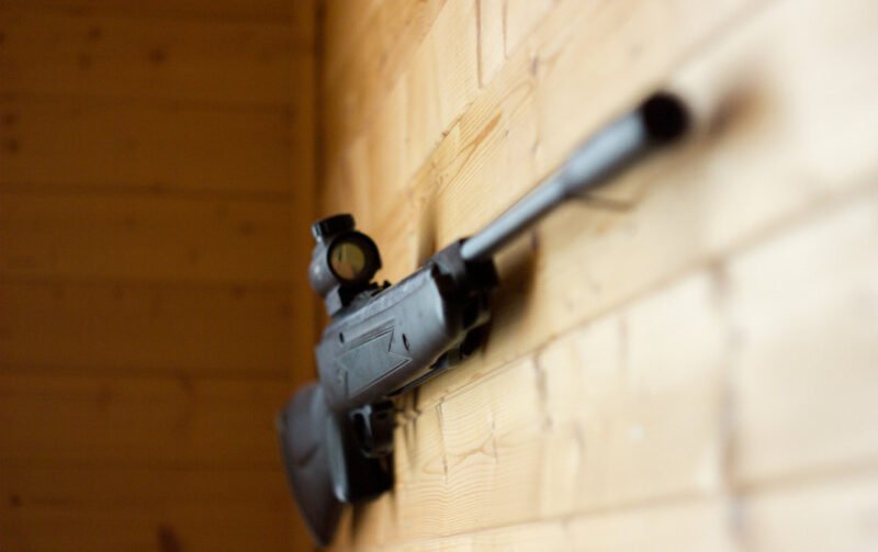 Sumedžioti du tauriojo elnio patinai, žala gamtai siekia 12,3 tūkst. eurų, teks atsakyti ir už tinklus (2)