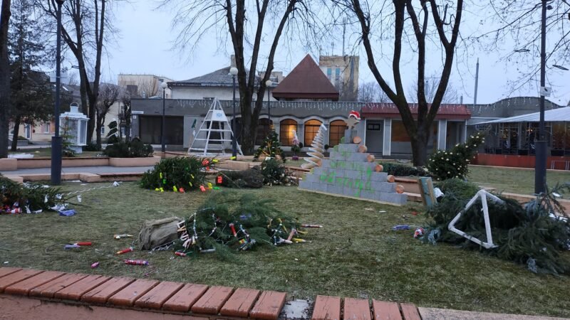 Surinks kalėdines eglutes