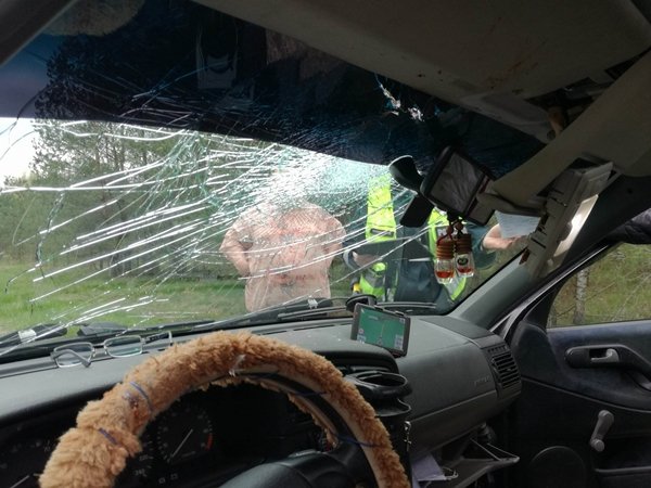 Susidūrė su antimi (nuotraukos)