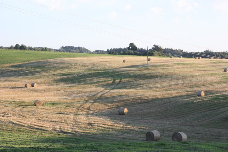Tiesioginėms išmokoms gauti privaloma laikytis GAAB-ų reikalavimų