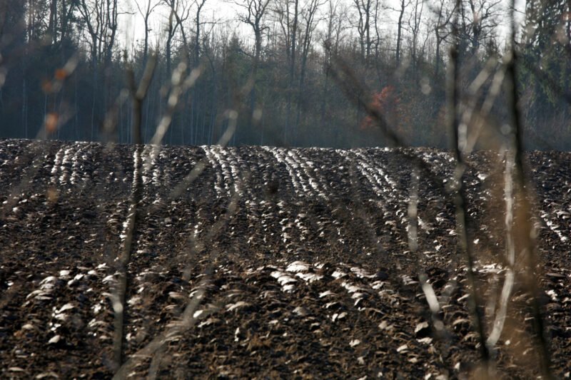 Tiesioginėms išmokoms gauti privaloma laikytis GAAB-ų reikalavimų