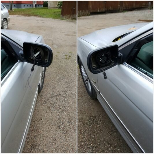 Už vagių suradimą siūlo atlygį (3)