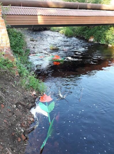 Vandalai nusiaubė Viešvilę (3)