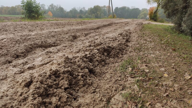 Vietoje pagalbos sulaukė patikros (3)