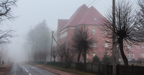 Viešvilės globos namų pedofilijos skandalo įtariamasis: tai kerštas man (20)