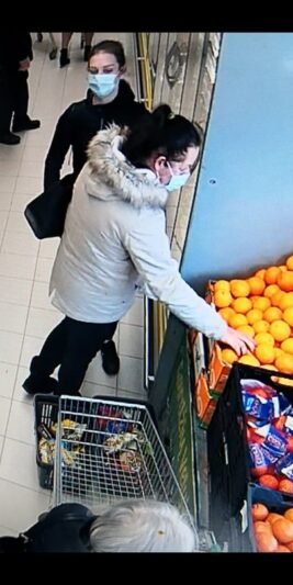 Visuomenė atsiliepė į policijos prašymą: įtariamosios nustatytos per keletą valandų