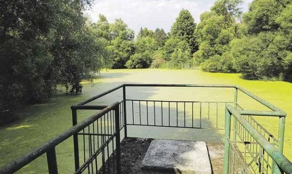 Vizito tikslas: papasakoti ar išklausyti? (9)