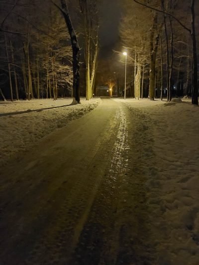 Dvaro parkas virto čiuožykla – perspėja aplenkti