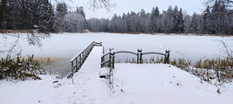 Žiema šėls ir artimiausią parą (1)