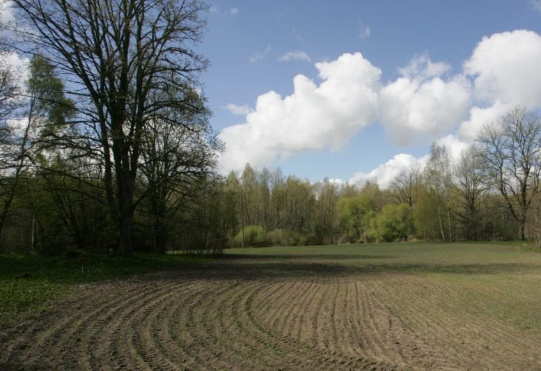 Tiesioginėms išmokoms gauti privaloma laikytis GAAB-ų reikalavimų