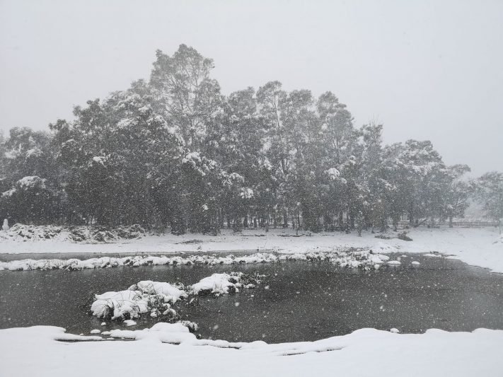 Snigs smarkiai, kai kur kils pūga