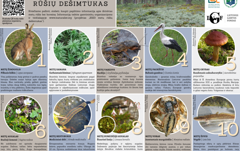 Paskelbtas 2023-iųjų rūšių dešimtukas (1)