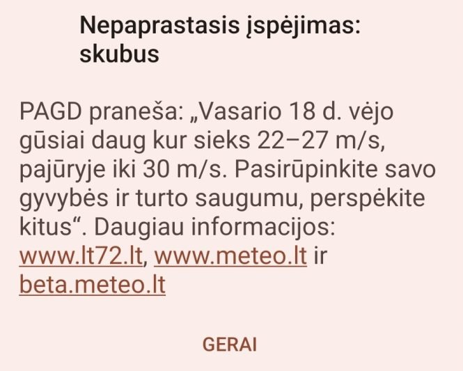 Perspėja dėl stipraus vėjo