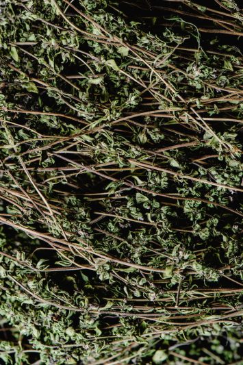 close up photograph of dried thyme