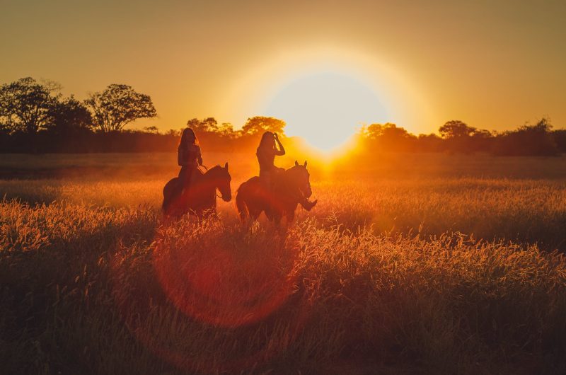 silhouette photo of two persons riding horses
